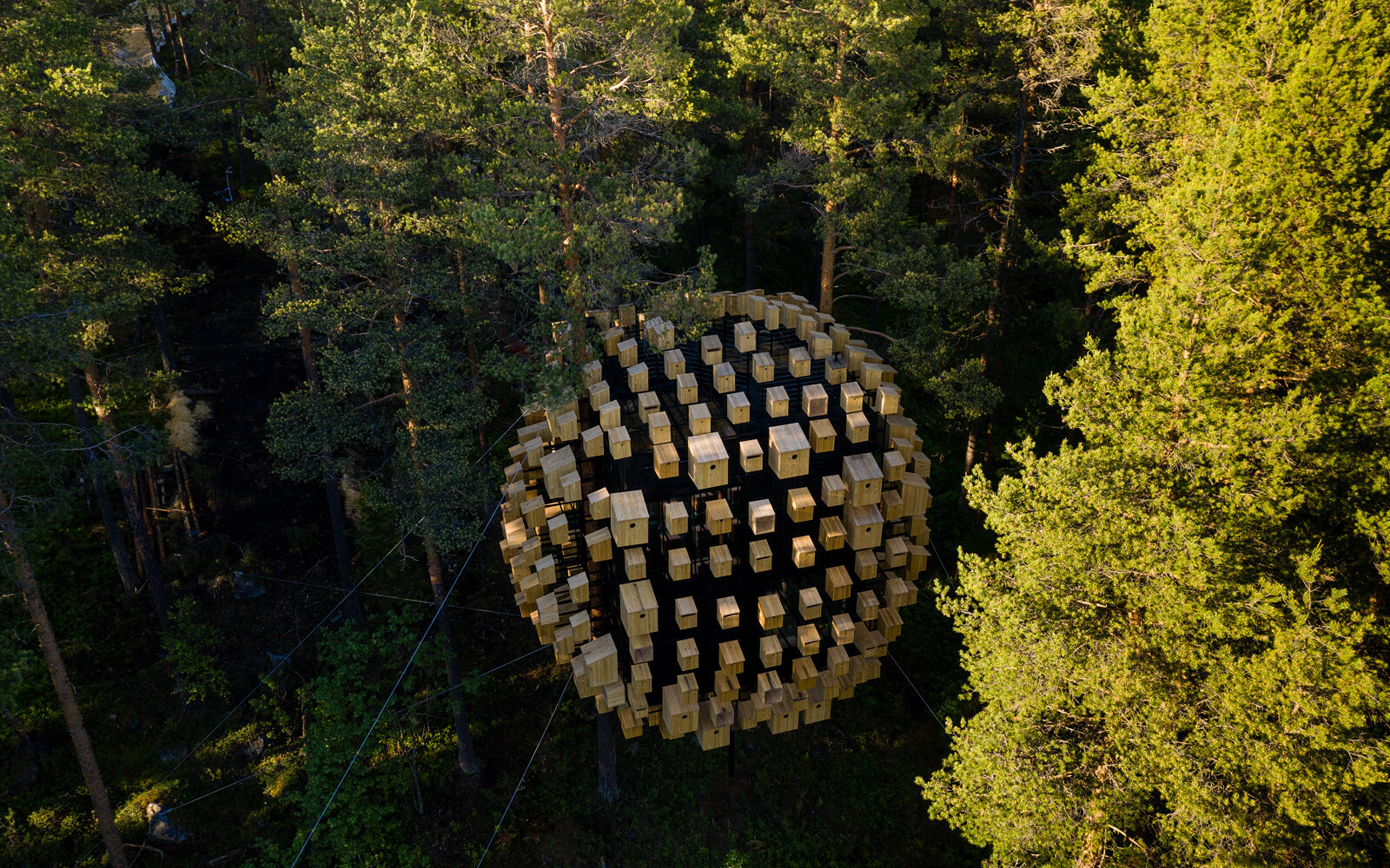 Treehotel Biosphere Svezia