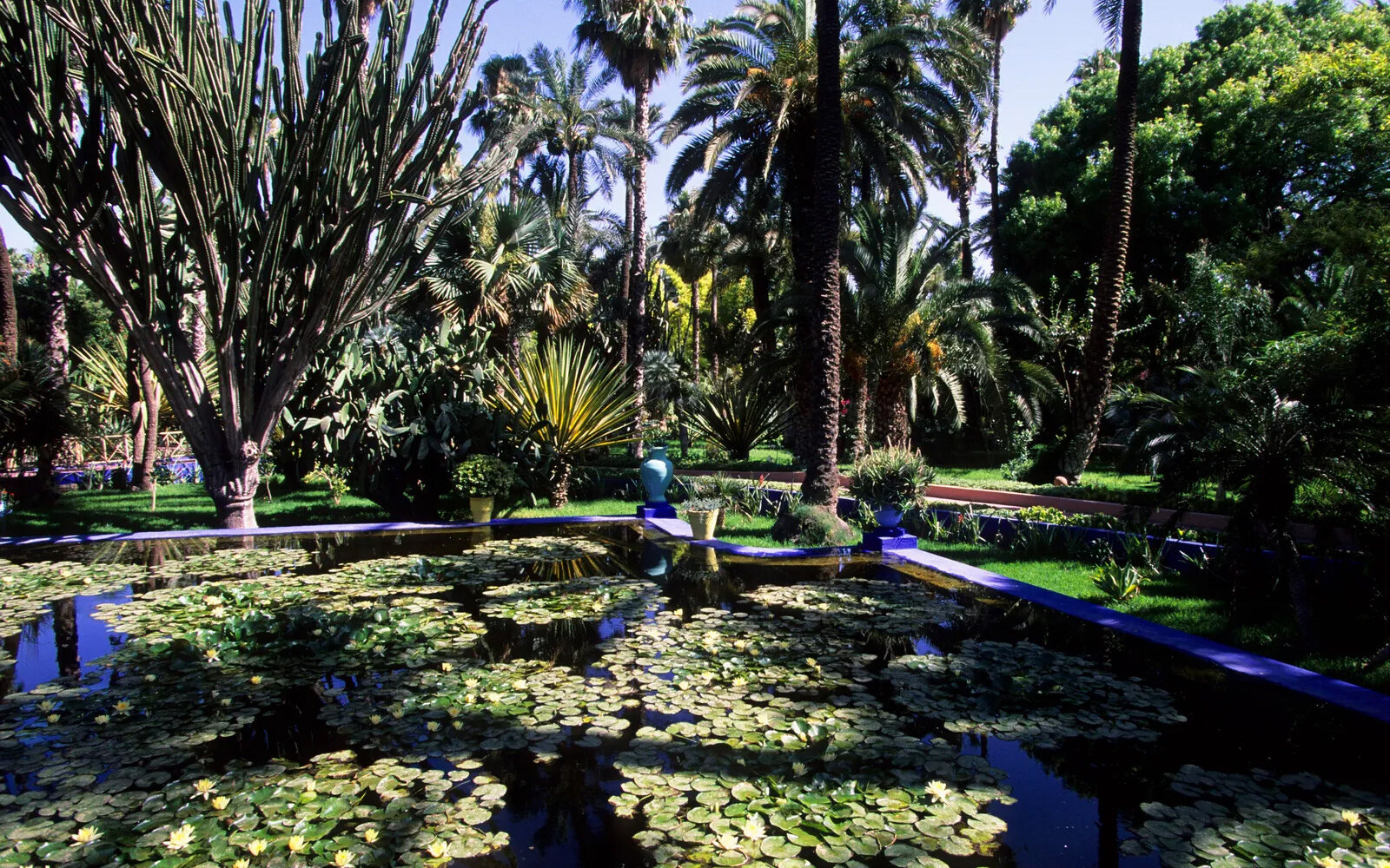 Yves Saint Laurent Jardin Majorelle Marrakech