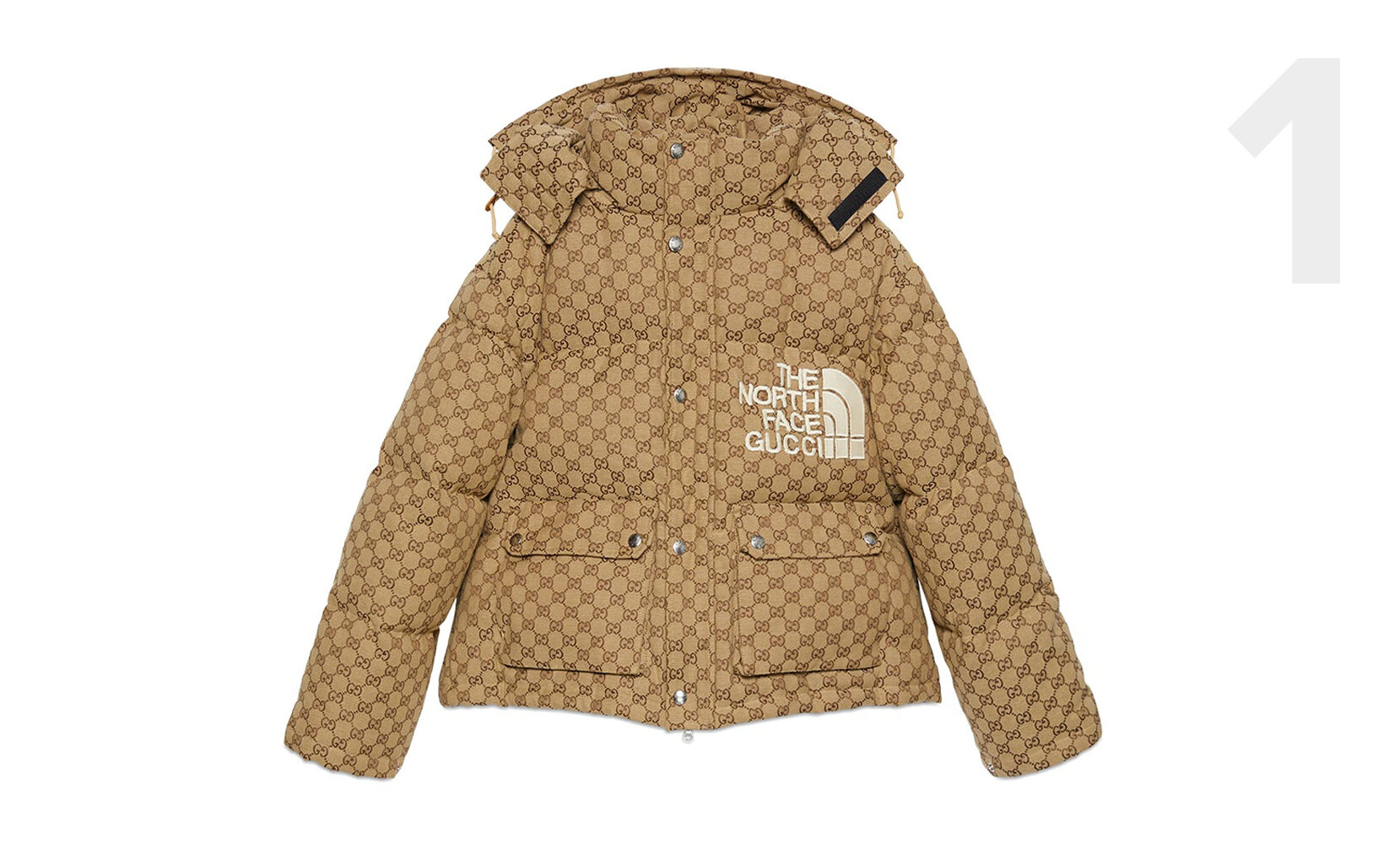 Gucci x The North Face Down Jacket